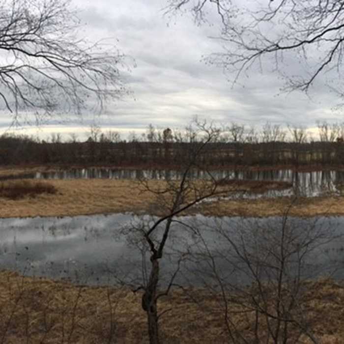 The view from the observation tower. Near Arcadia Walking Loop (No Running Allowed)
