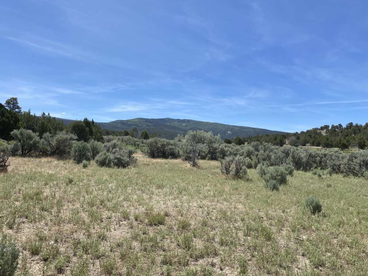 Maple Springs Trail photo 2