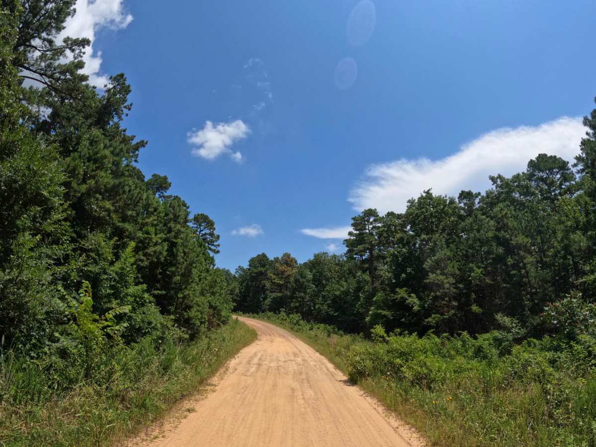 Rich Mountain Byway photo 3