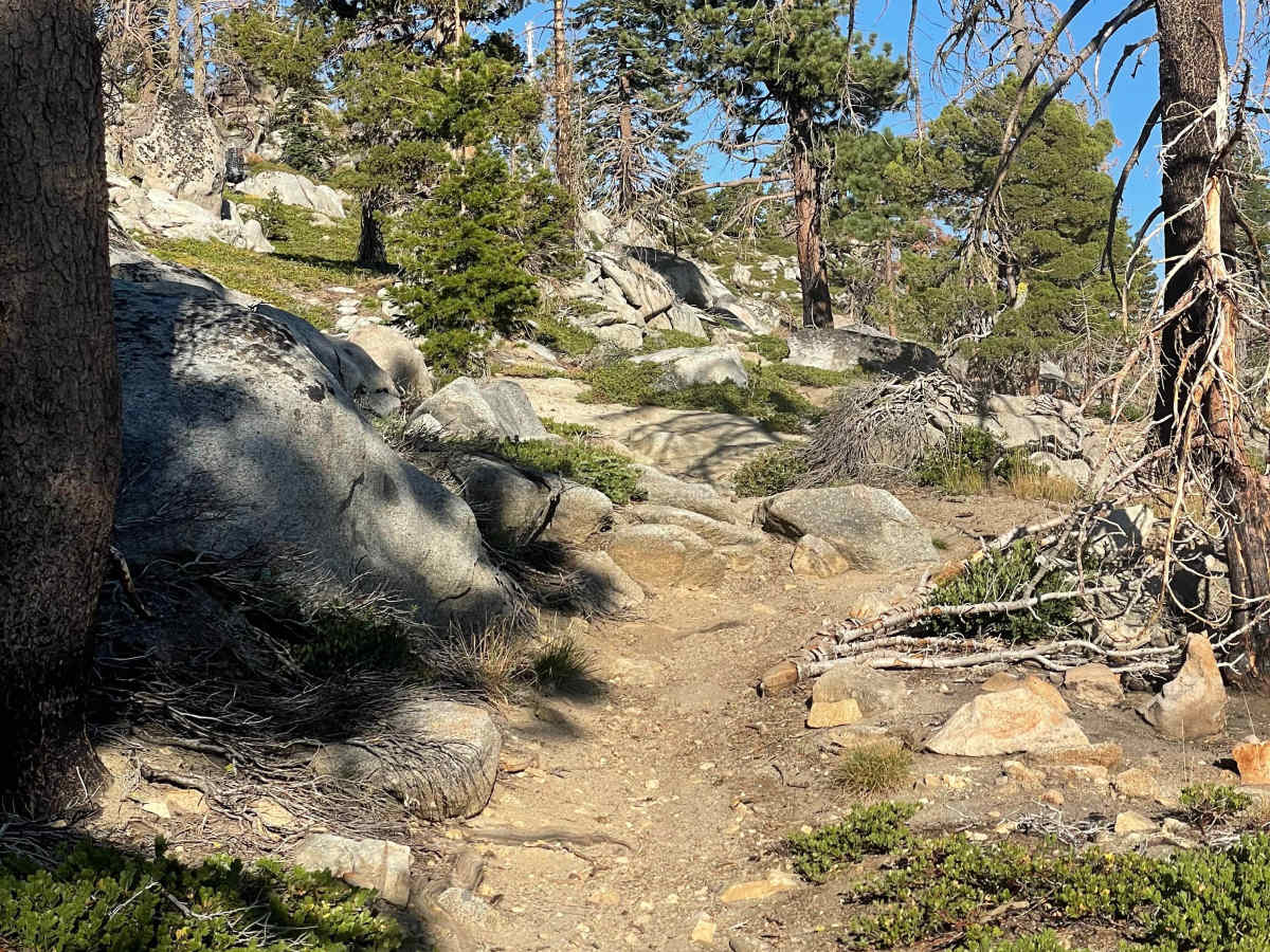 Buck Pasture Trail (East) photo 5