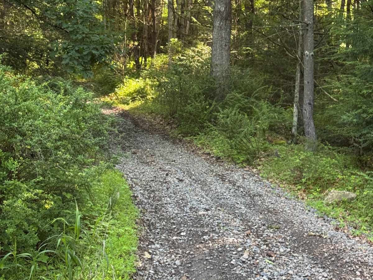 South Access Trail photo 2