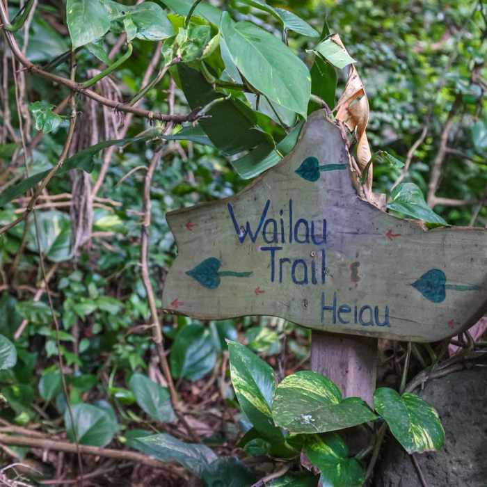 Near Ili'ili'opae Heiau