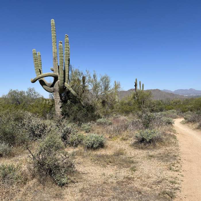 Near Wild Horse - Stinger Loop Near Wild Horse - Stinger Loop