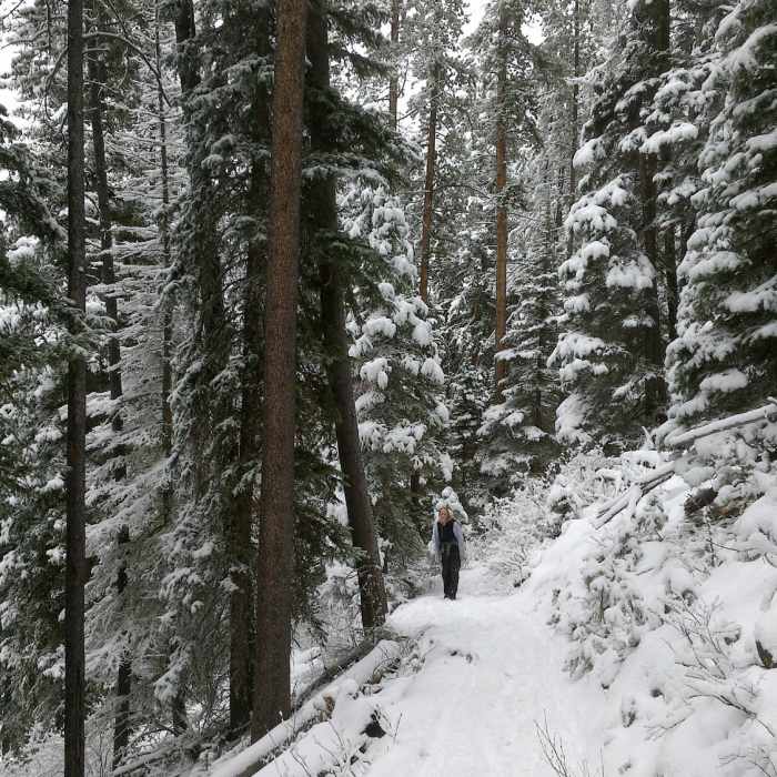Near Lava Lake Trail #77
