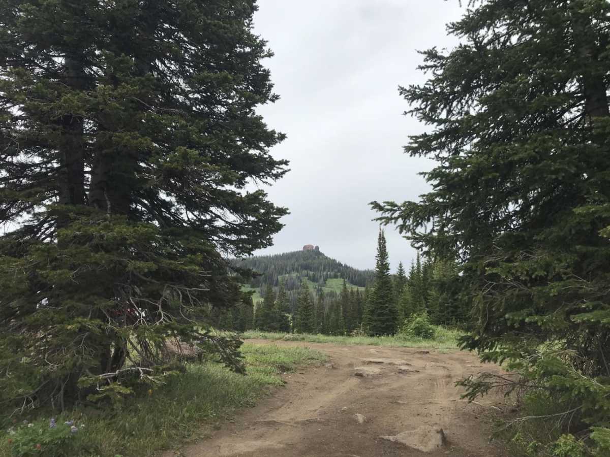 Base Camp (311) photo 4