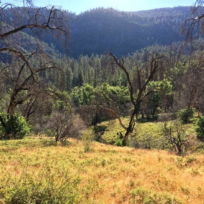 Near Bishop Creek Trail