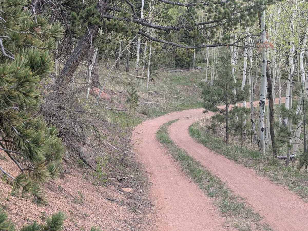 Ormes Peak Road photo 4