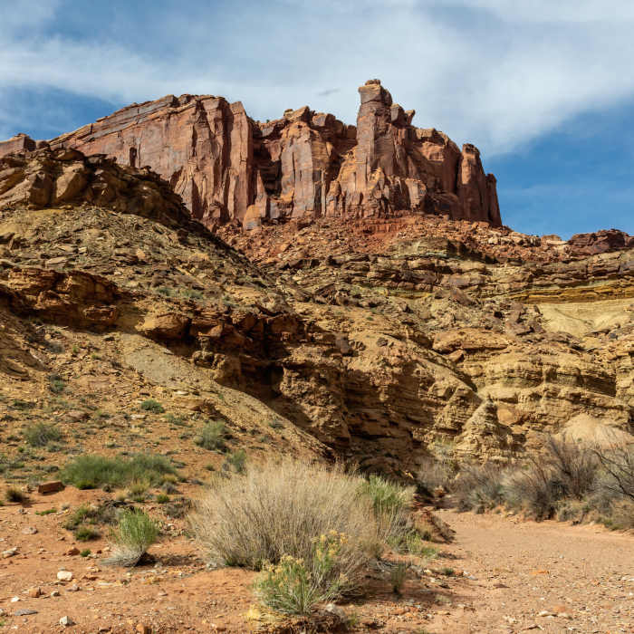Near Upheaval Canyon Trail