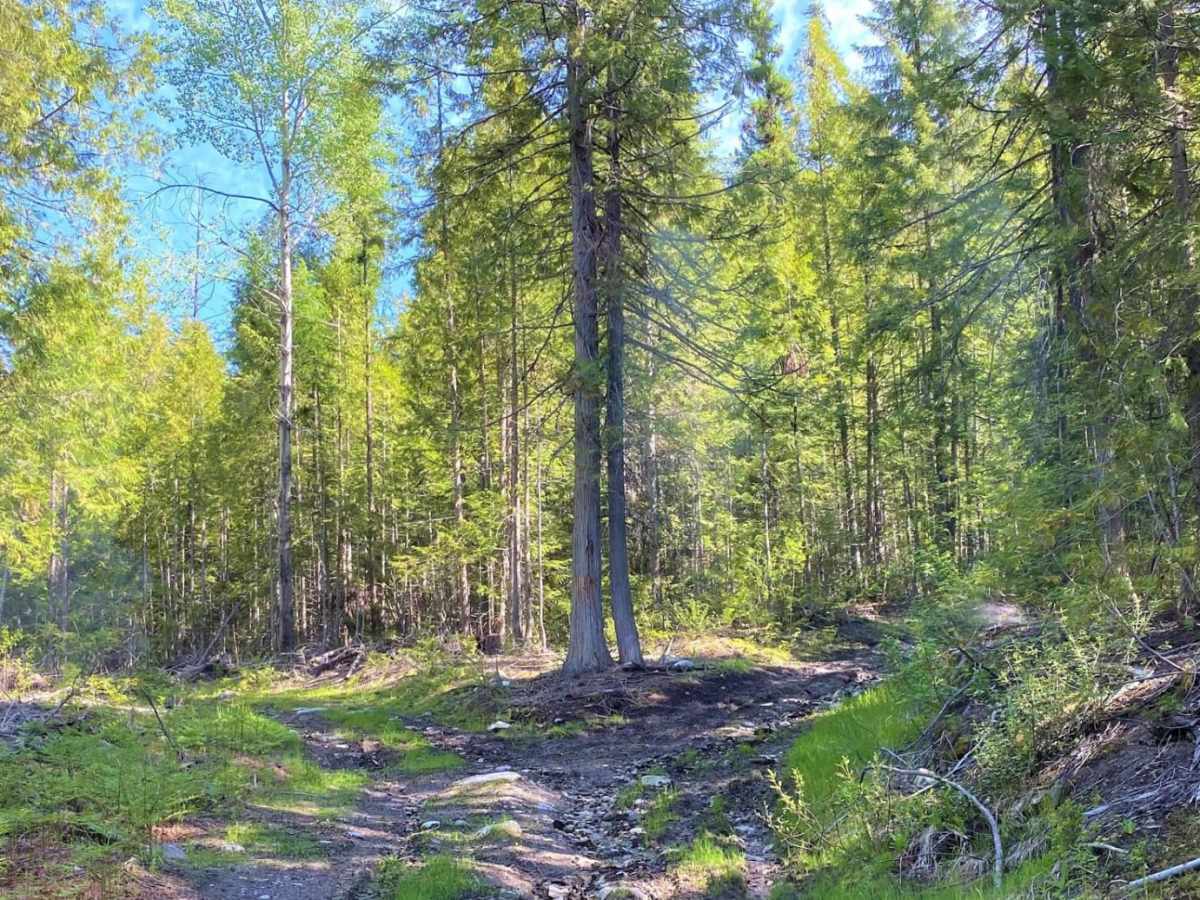 Kerry Creek to Owl Mountain Trail photo 4
