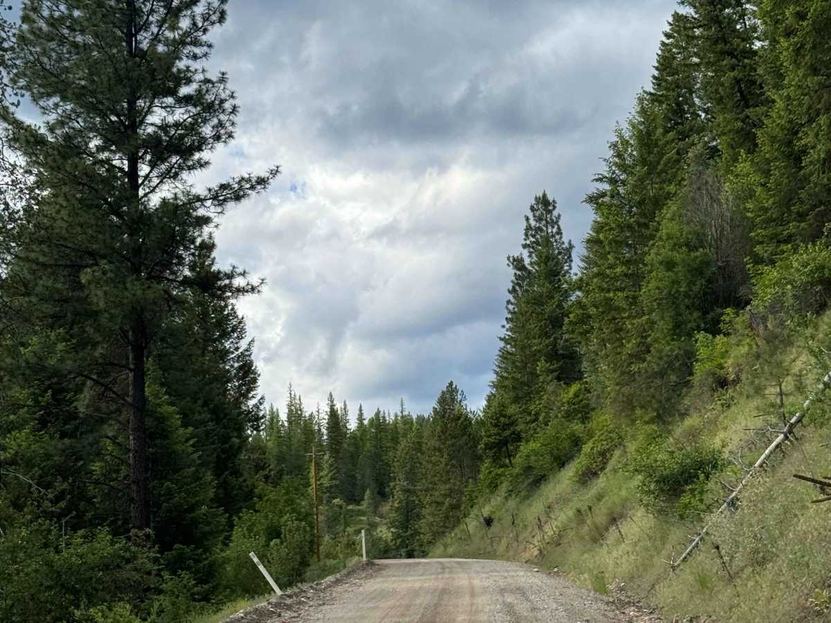 Box Canyon Road photo 3