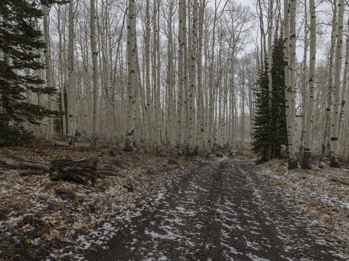 Little Lost Creek photo 5