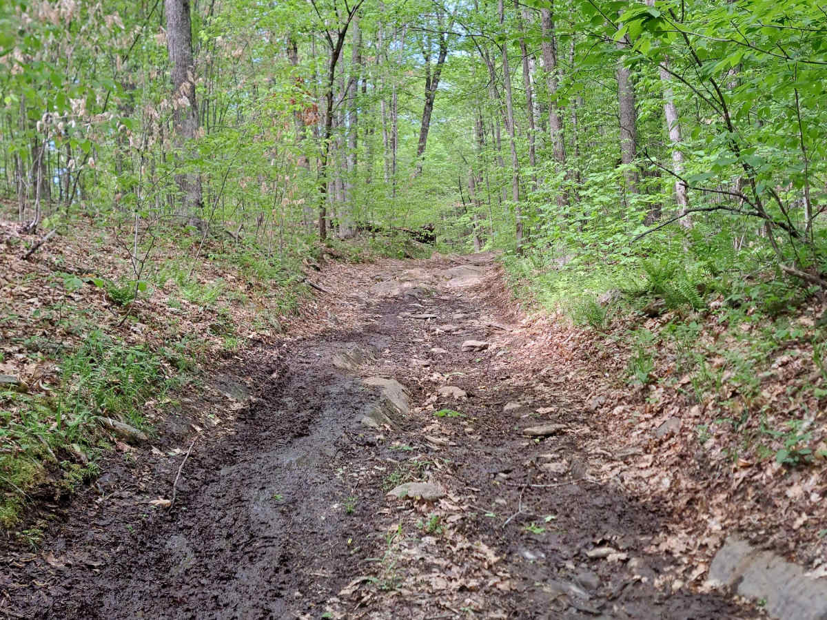 Podunk Road photo 6