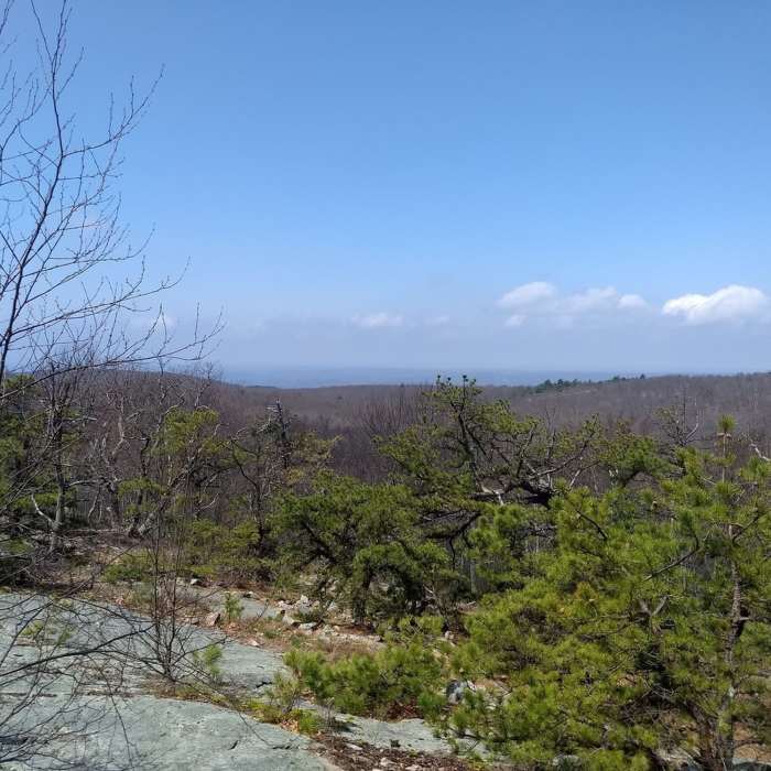 Probably this is the view point. Near Buttermilk Falls, Crater Lake, and Hemlock Pond Loop