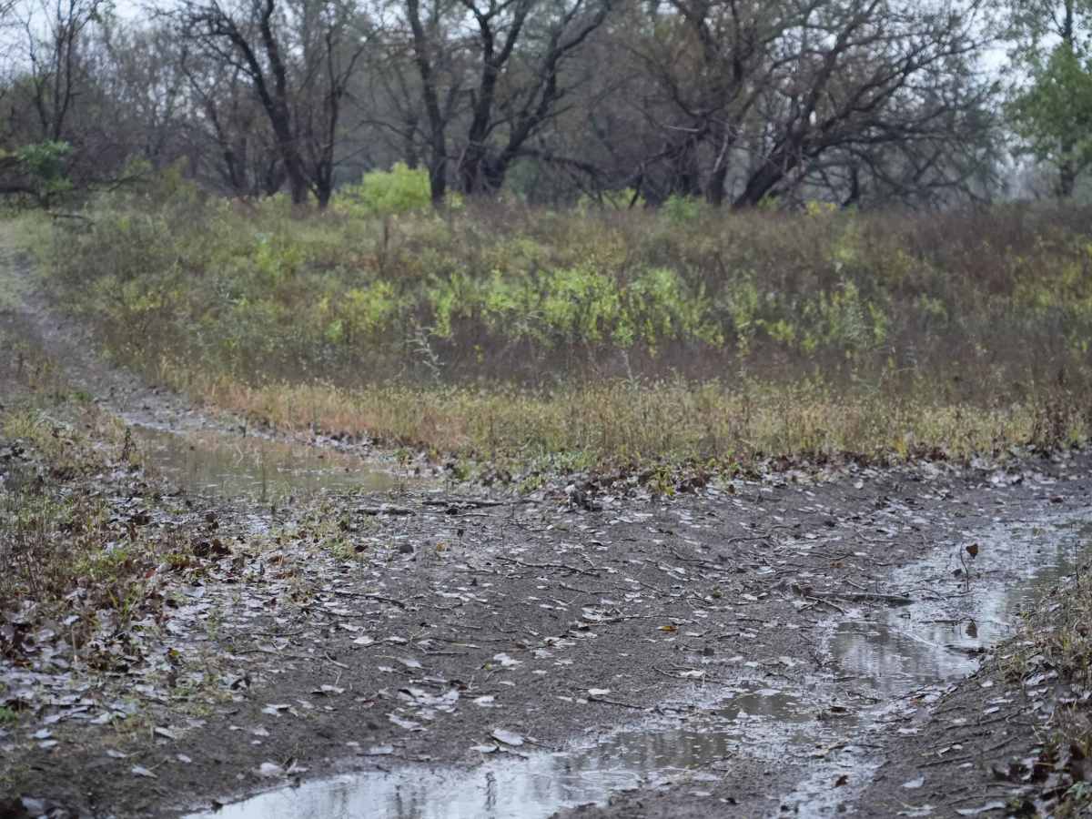Otter Creek Inner Trail photo 2