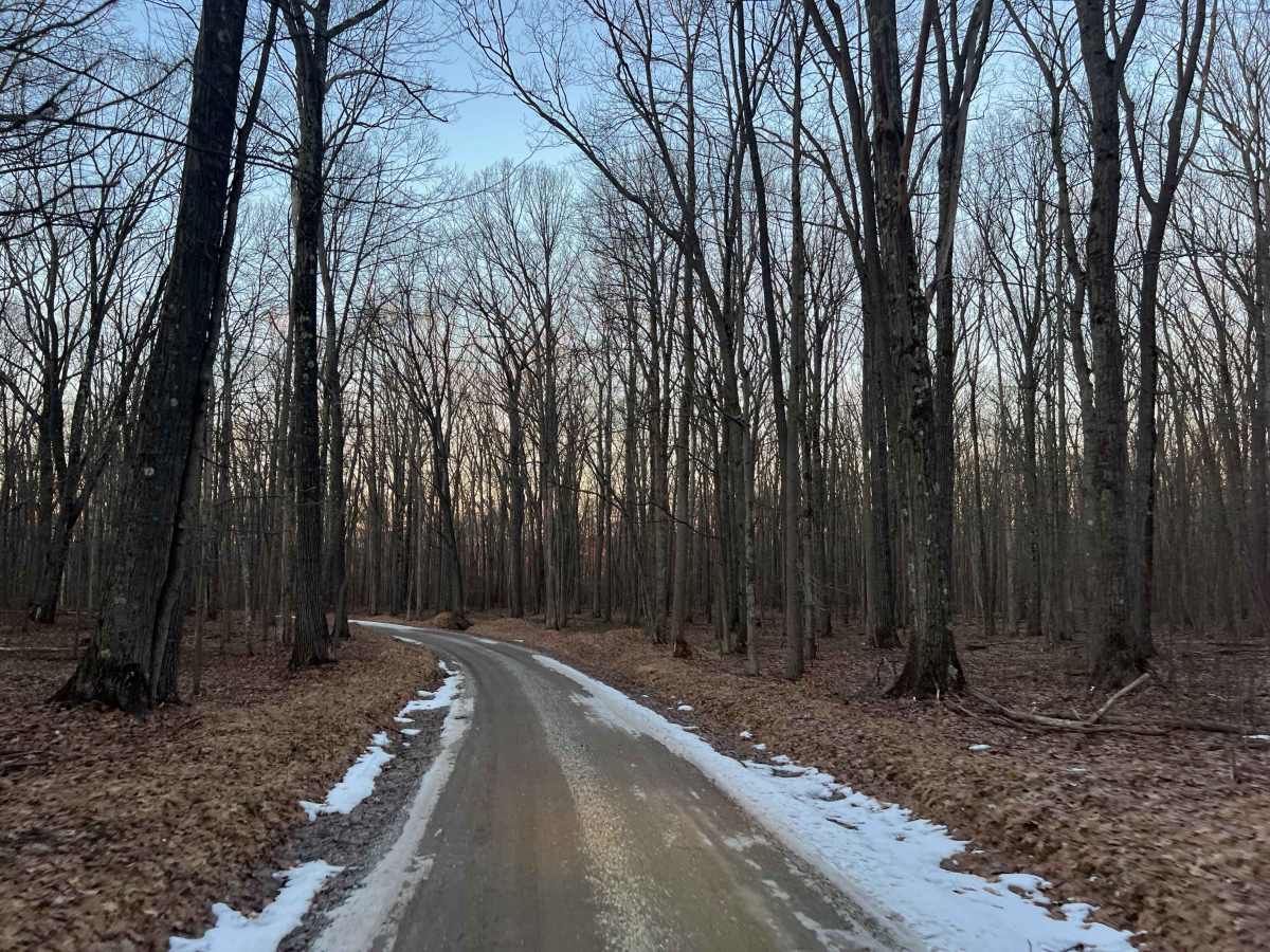 Laurel Ridge Road photo 2