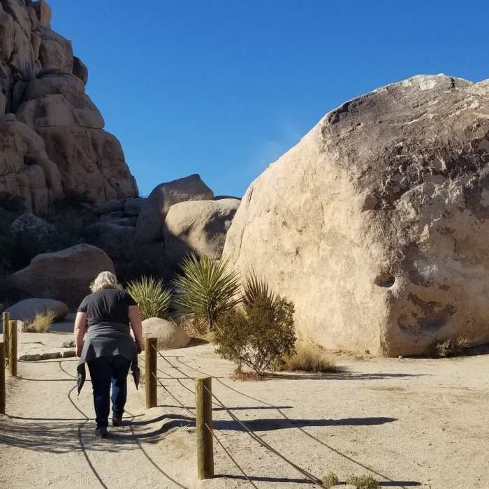Near Hidden Valley Nature Trail