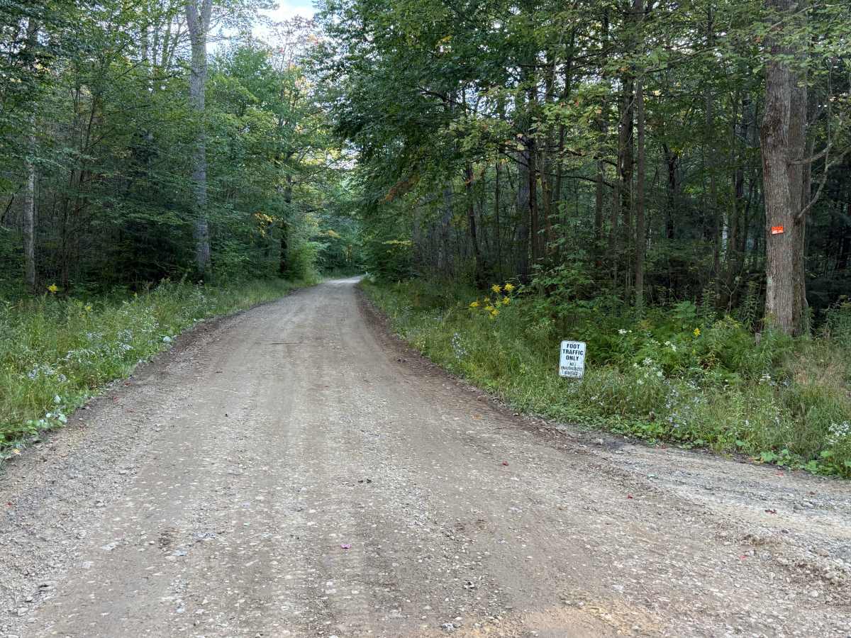 Bump Run - FS 268 photo 6