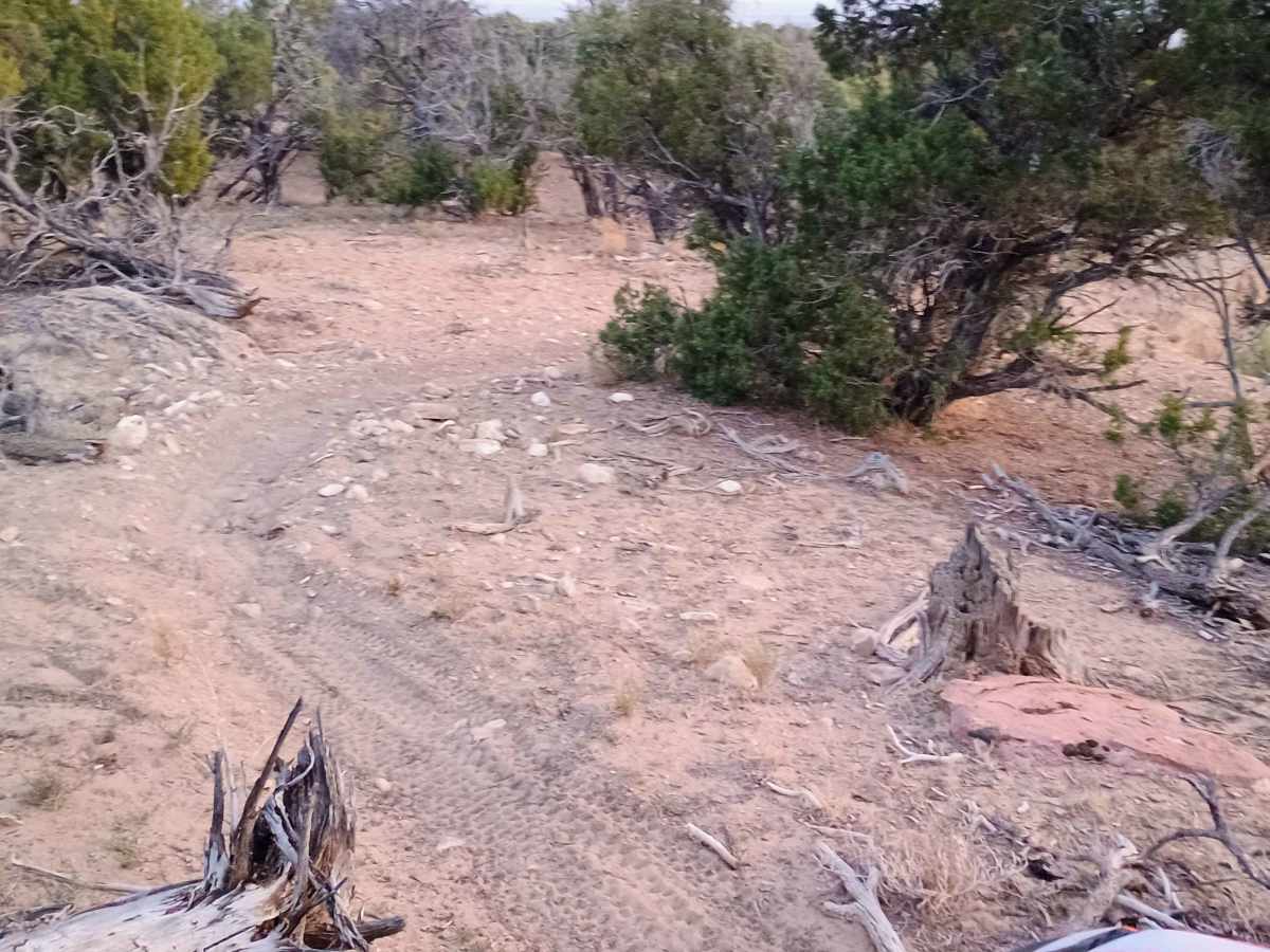 Deadman Canyon Loop photo 4