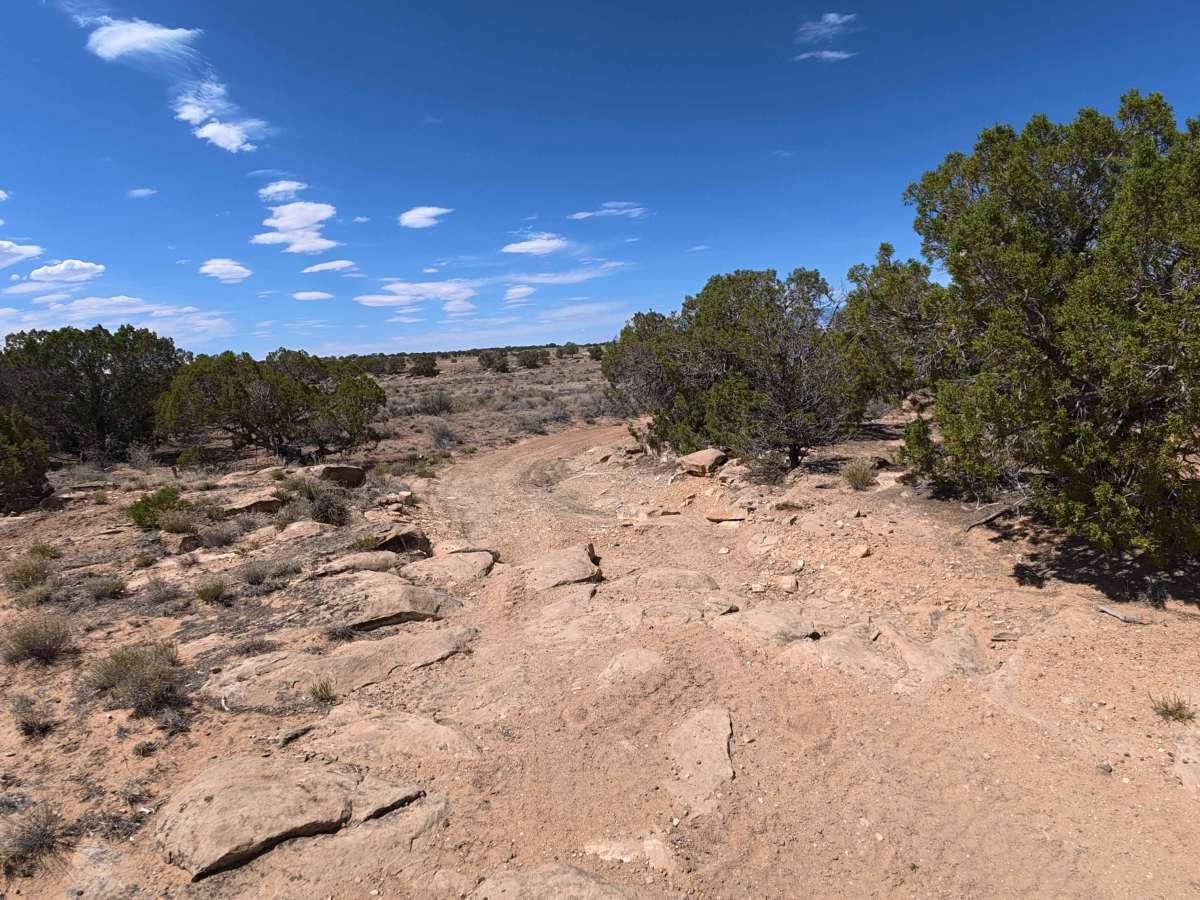 Coal Bank Loop trail photo
