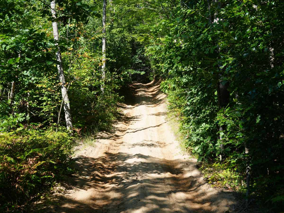 Twin Lakes Trail photo 2