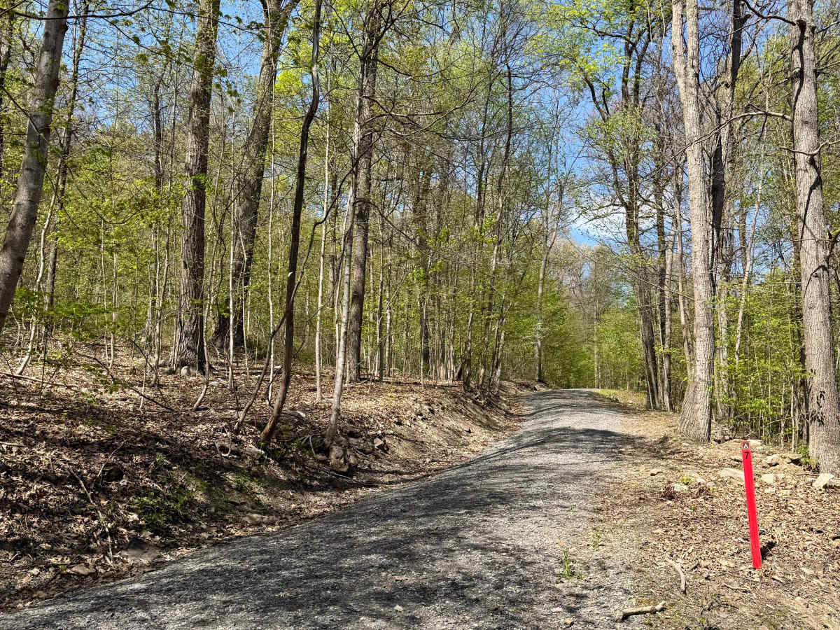 Licking Creek Dr photo 3
