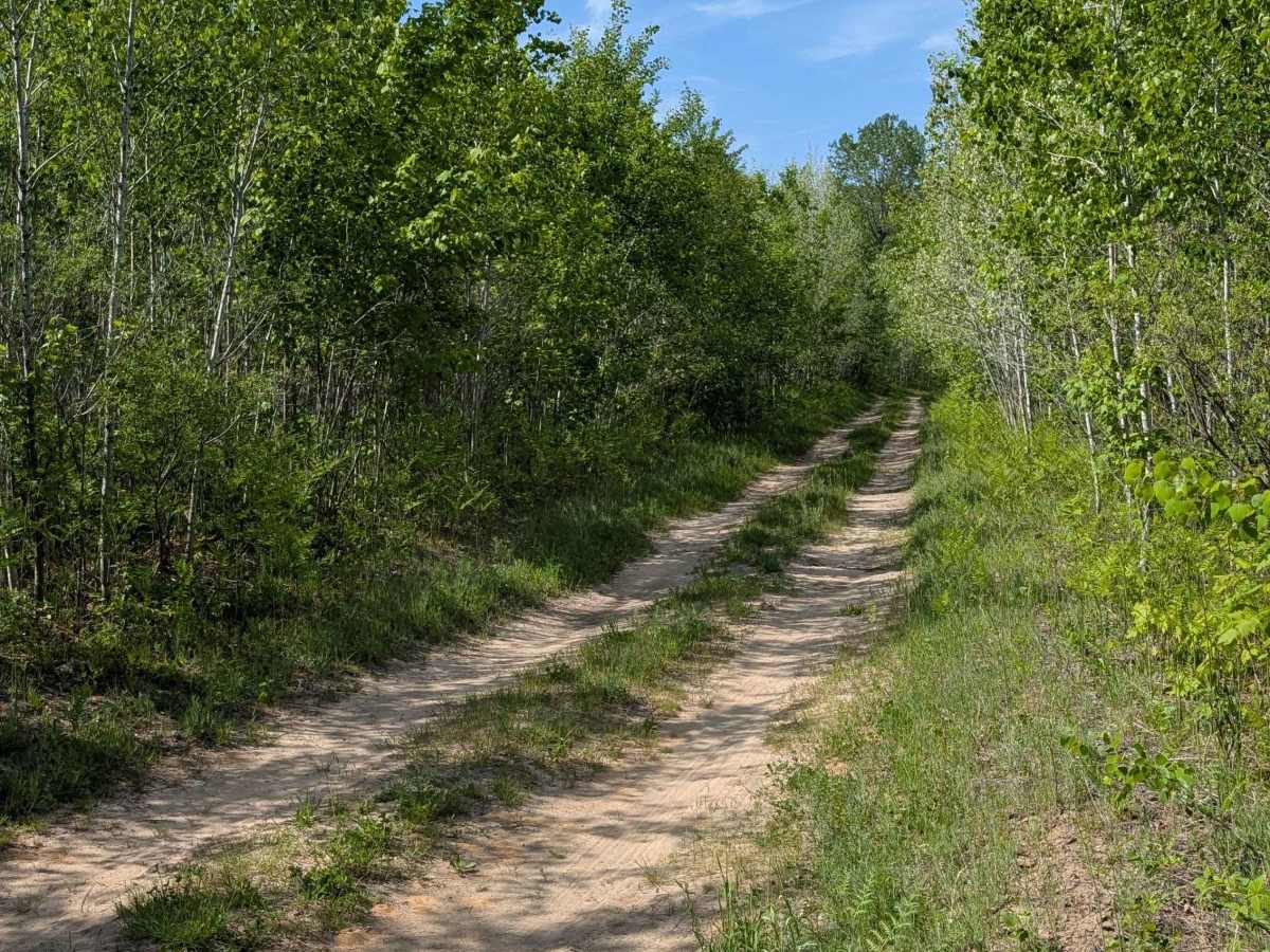 Trophy Acres Hunters Trail trail photo