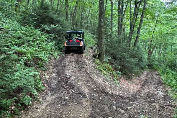 Trail 34