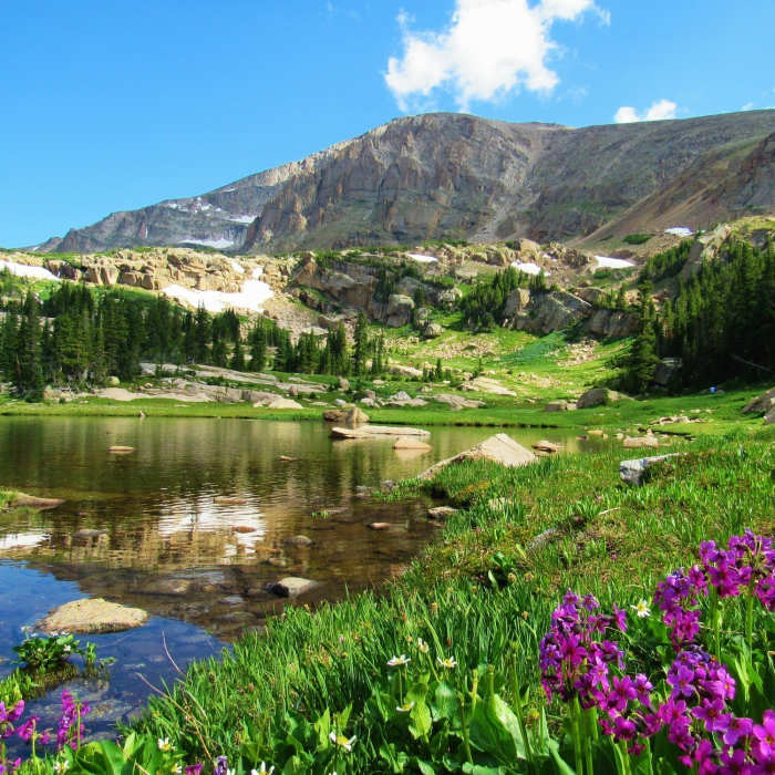 Near Mt. Alice via Hourglass Ridge