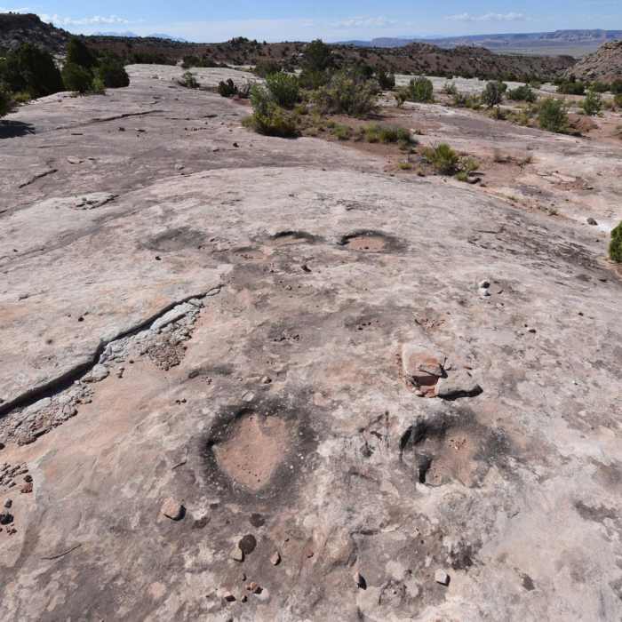 Near Dinosaur Stomping Grounds Trail