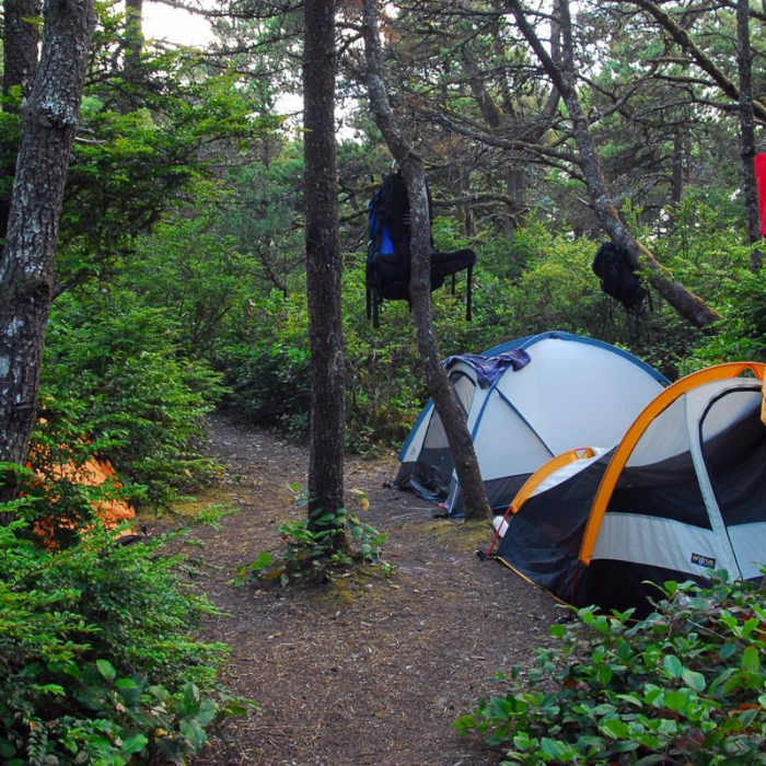 Near Bayocean Peninsula