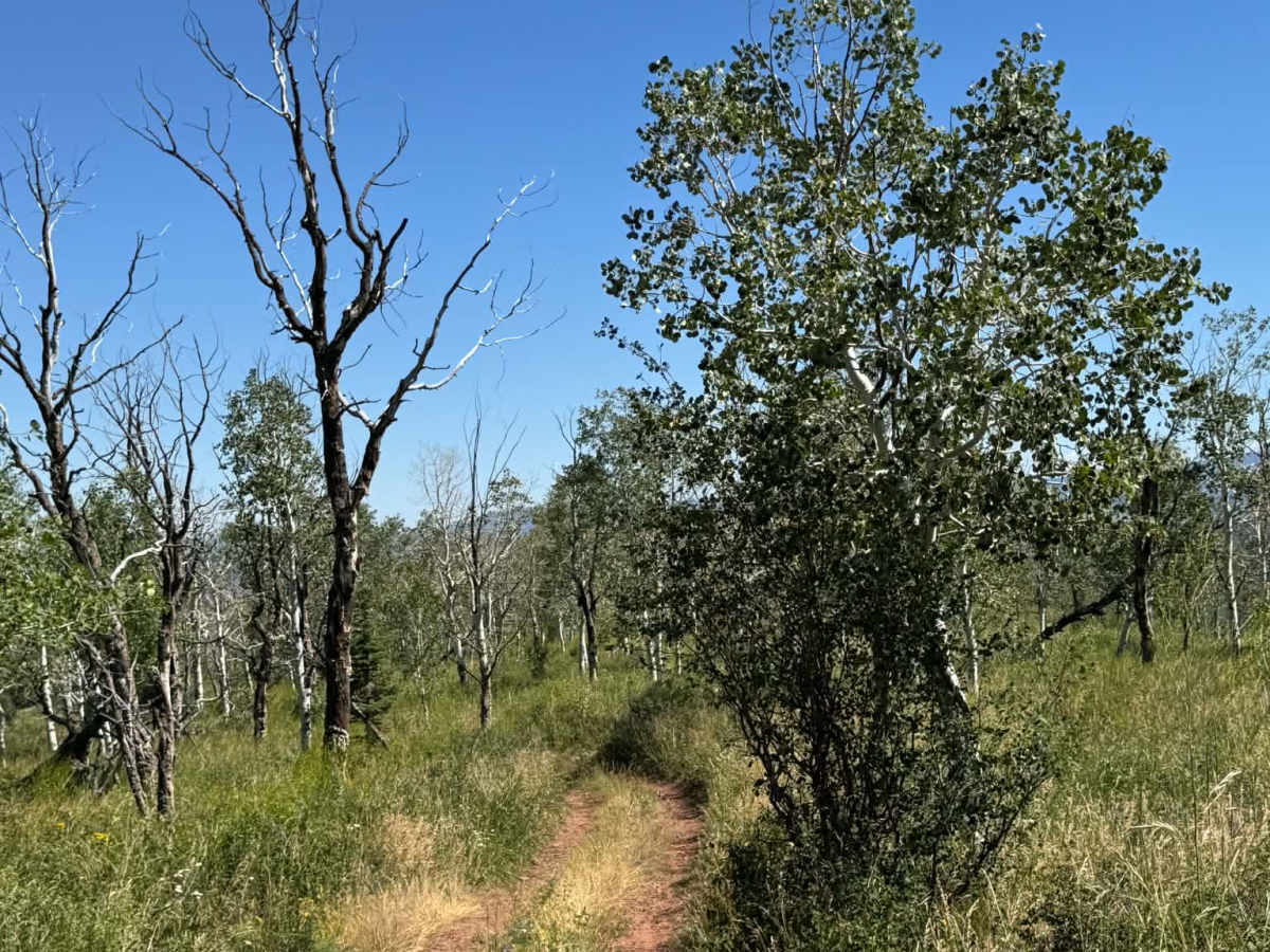 Wells Ridge Road photo 3