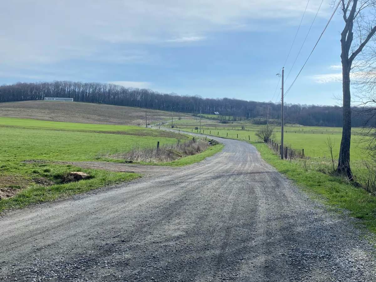 Wash Run trail photo