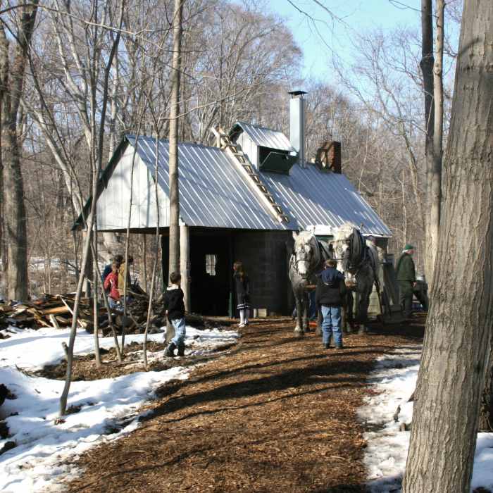 Near Bailly Chellberg - Little Calumet Loop