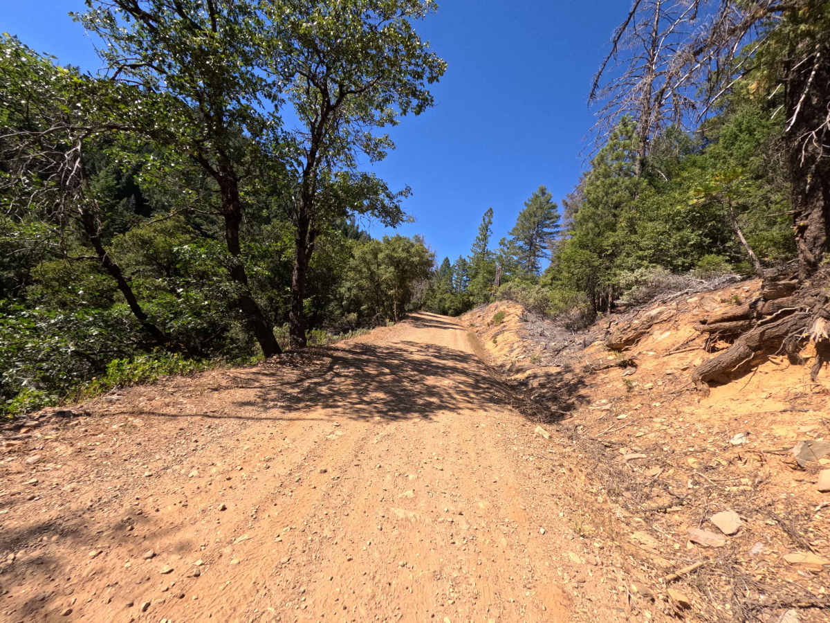 Lavezzola Road trail photo