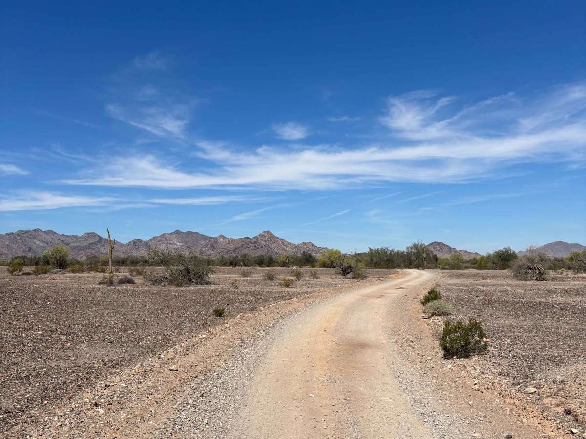 Cholla Road photo 4