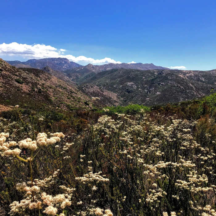 Near Espinosa Equestrian Trail