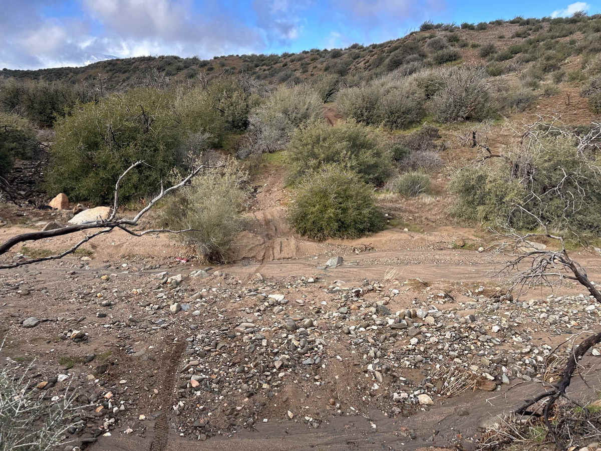 Ruts & Roots photo 2