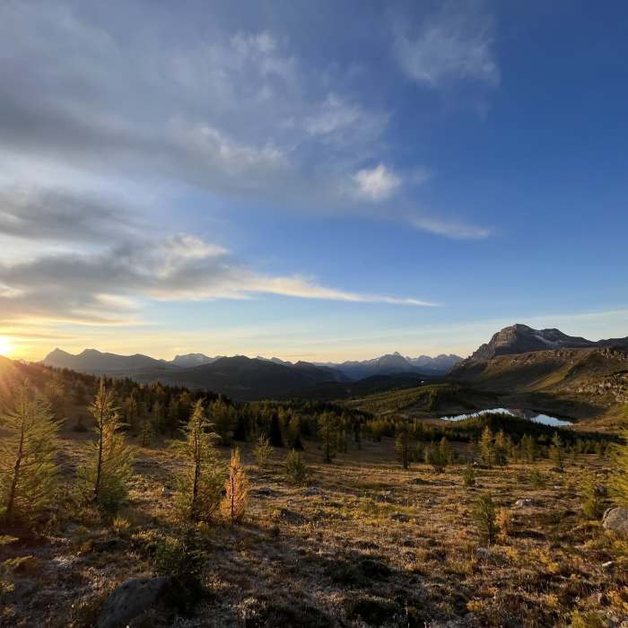 Near Healy Pass Out and Back