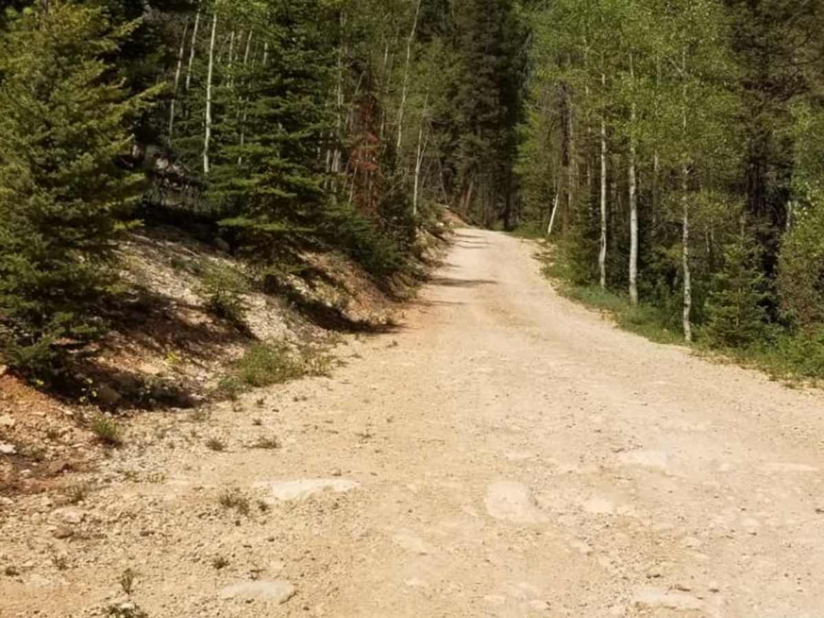 Powell Point Trail photo 3