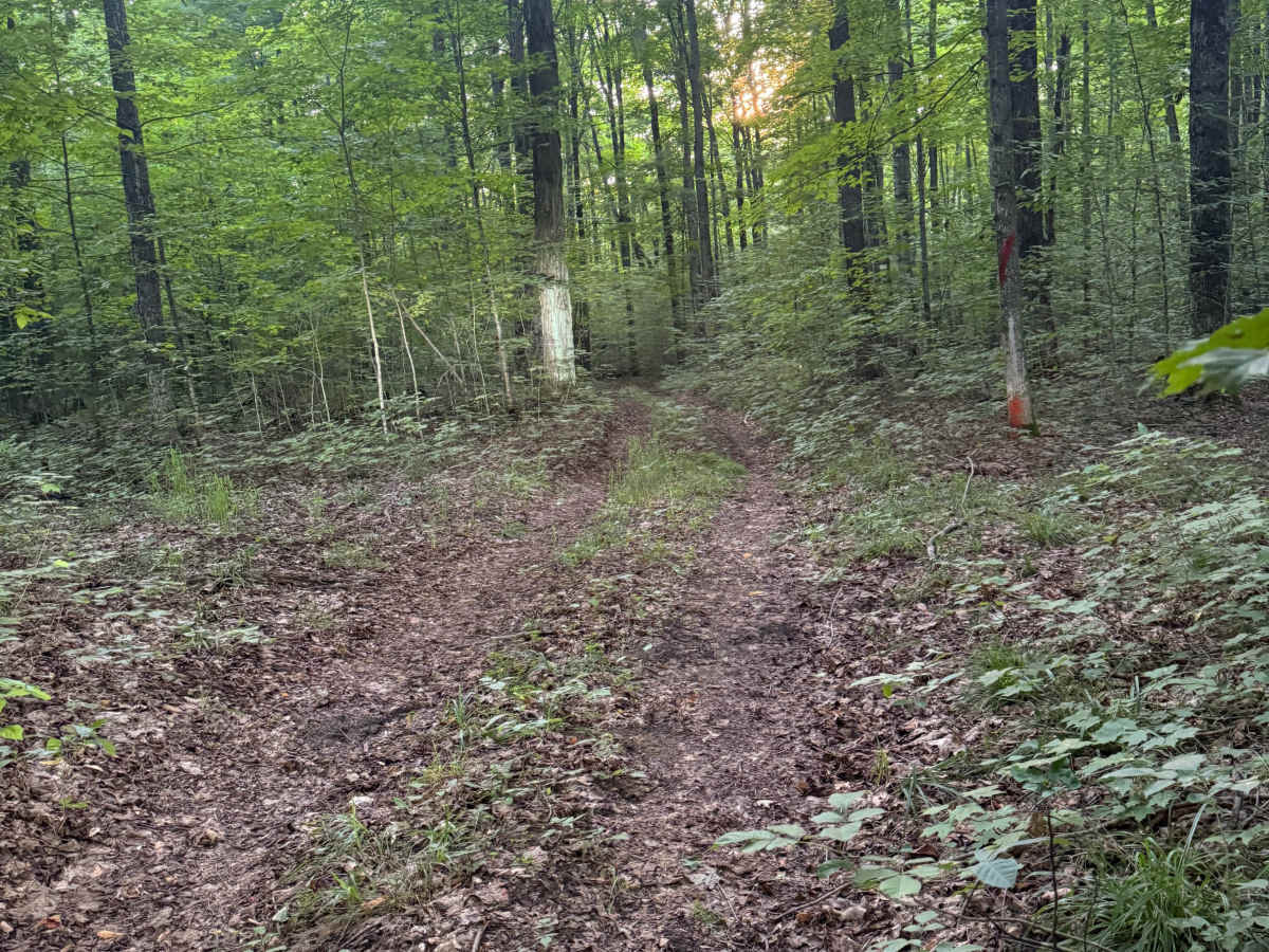 W 8 Trail photo 4