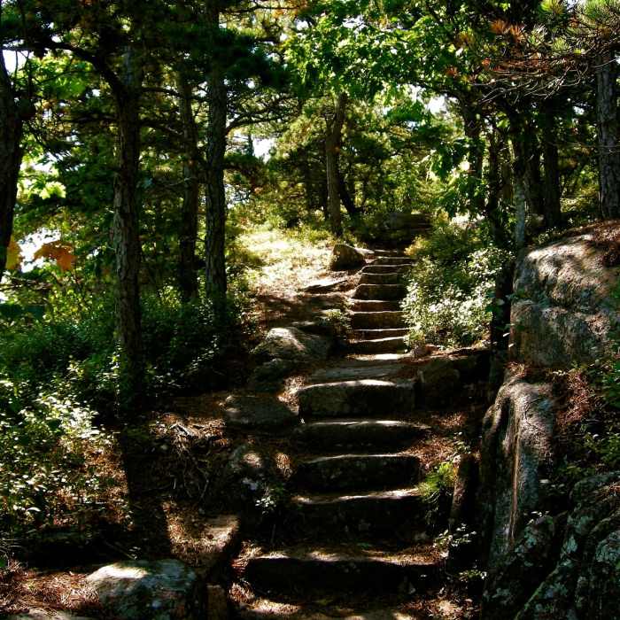 Hiking up the granite steps on the Dorr North Ridge Trail. Near Dorr Mountain Ladder Trail Loop