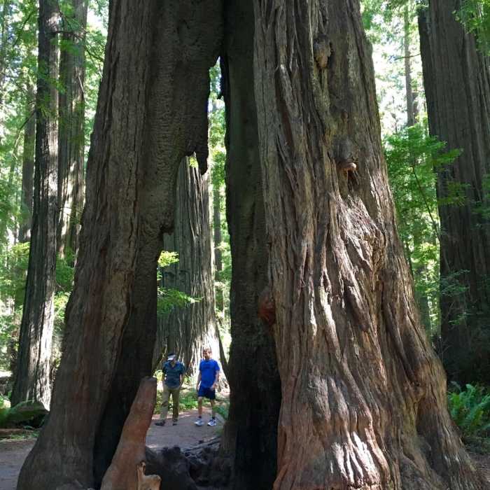 Near Founders' Grove Nature Trail