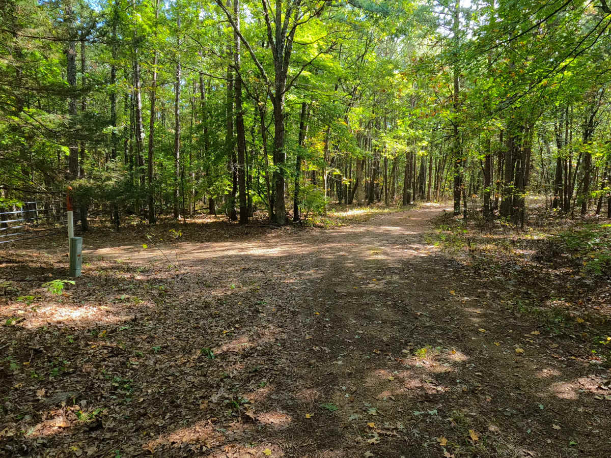 Coon Hollow - FS 2482 photo 5