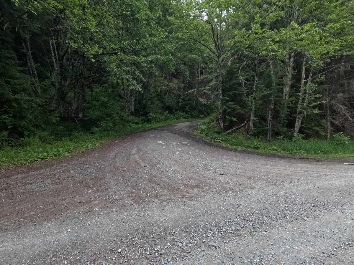 Segelsen Ridge - FS 1855 trail photo