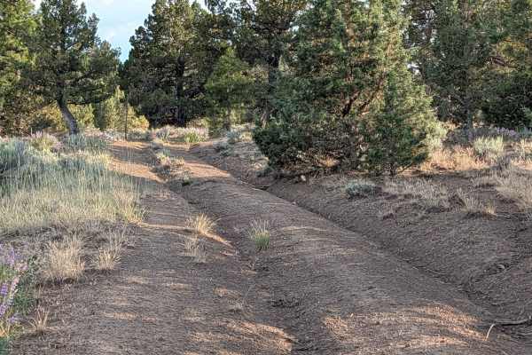 Bento Butte - FS 46N22