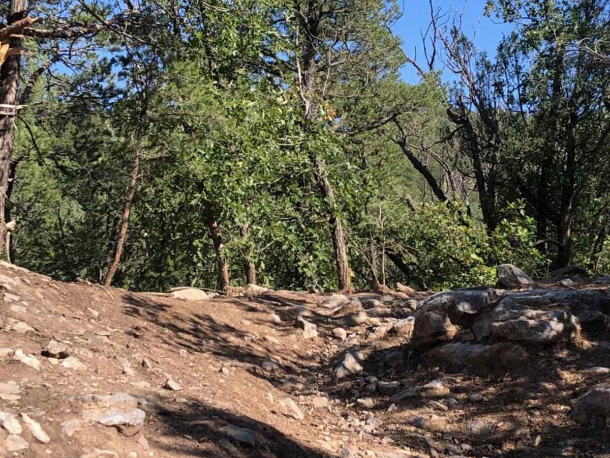 Goose Lake Trail photo 4