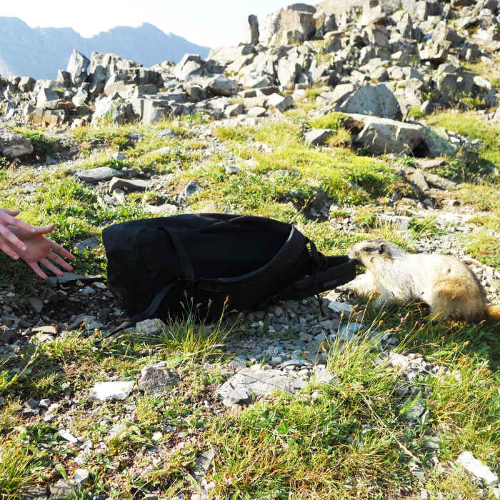 Near Triple Divide Pass Out-and-Back