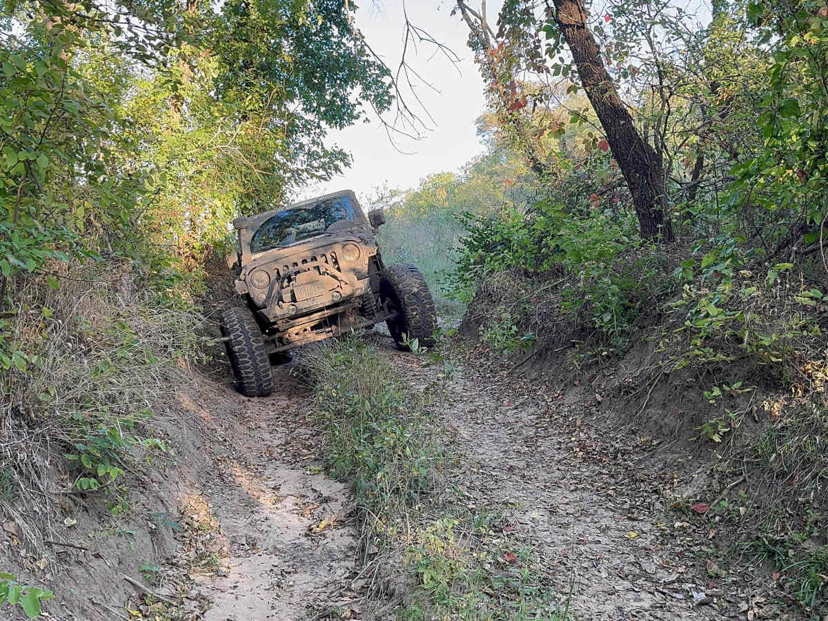 Got Flex photo 4