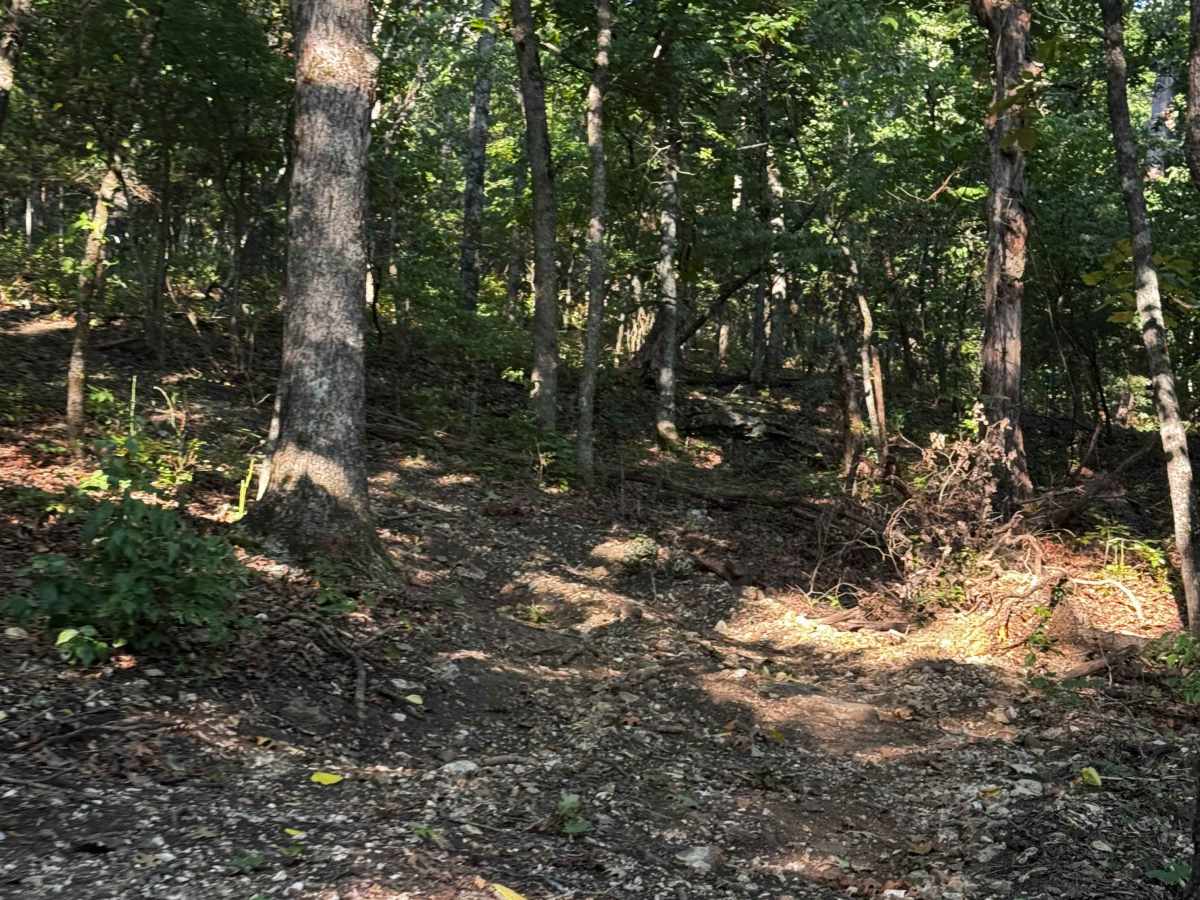 Gold Miner Trail photo 2
