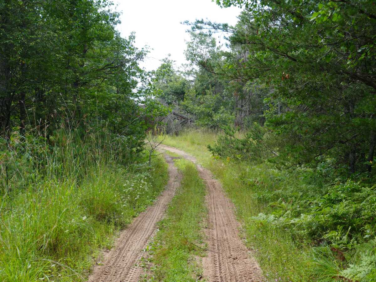 North Twin Tomahawk Trail photo 6